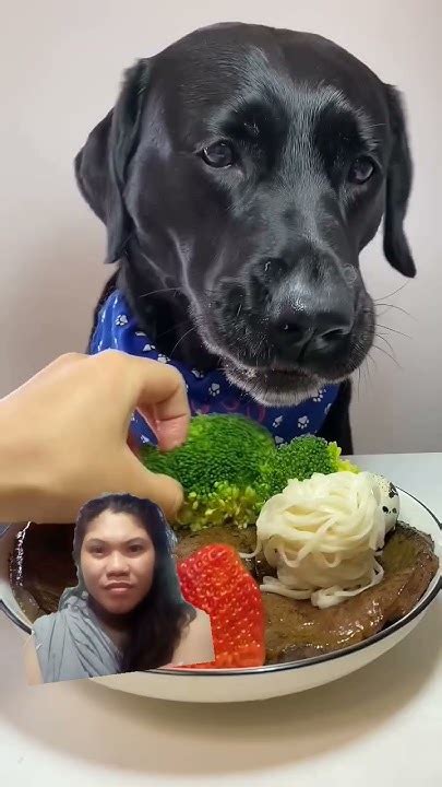 Pilit pinipigil umungol sa sarap ng doggie – Pinaynay.